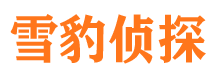 安义市调查公司